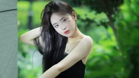 潘塔纳尔湿地通航事故